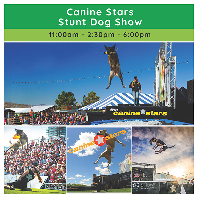 Canine Stars Stunt Dog Show 11:00am - 2:30pm - 6:00pm